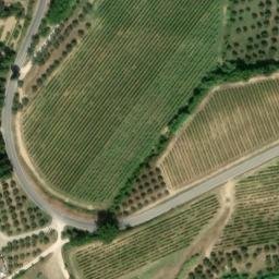 Mappa satellitare LOCALITA' ORMANNI, Poggibonsi