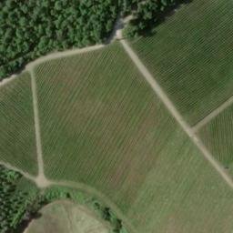 Mappa satellitare CASE SPARSE LA QUERCE, Radda in Chianti