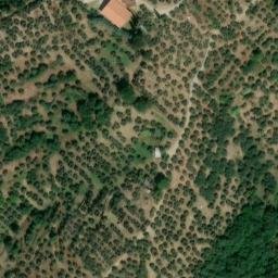 Mappa satellitare LOCALITA' POGGIO DELLA QUERCE, Lucignano