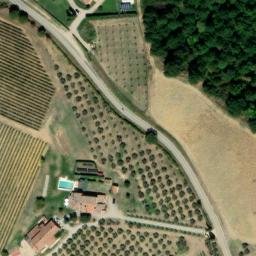 Mappa satellitare PODERE COLLALTO, Trequanda