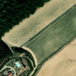 Mappa satellitare PODERE CARPINETO, Asciano