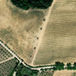 Mappa satellitare PODERE CASELLA, Trequanda