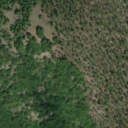 Mappa satellitare PODERE MUTTI, Radicondoli