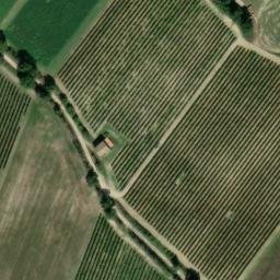 Mappa satellitare CONTRADA CESE, Cossignano