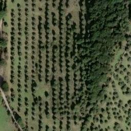 Mappa satellitare STRADA DELLA VALLE, Grosseto