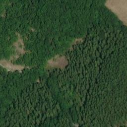 Mappa satellitare CASE SPARSE PREDIO IL GIARDINO, Acquapendente