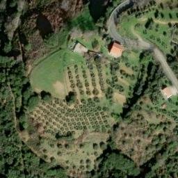 Mappa satellitare CASE SPARSE BOSCHETTO, Scansano