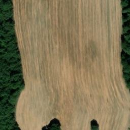 Mappa satellitare PREDIO BISCONTI, Acquapendente