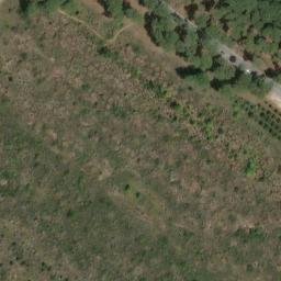 Mappa satellitare VIA COST. PD. TRIESTE, Grosseto