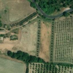 Mappa satellitare VIA CASEANNE, Montecchio