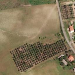 Mappa satellitare CASE SPARSE SVENTILATOI, Scansano