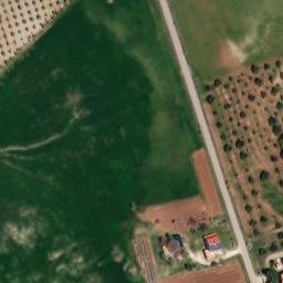 Mappa satellitare CASE SPARSE MOSCATELLO, Scansano