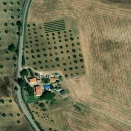 Mappa satellitare CASE SPARSE CARLINO, Scansano