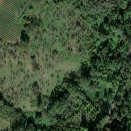 Mappa satellitare STRADA ROCCALVECCE, Viterbo