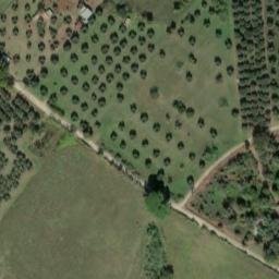Mappa satellitare STRADA PINZICONE, Viterbo