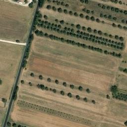 Mappa satellitare CONTRADA ONTANETO, Graffignano