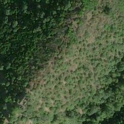 Château de Giudice de Cinarca