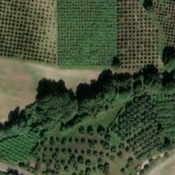 Mappa satellitare STRADA MARTANA, Viterbo
