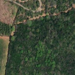 Mappa satellitare STRADA CASAGLIA, Capalbio