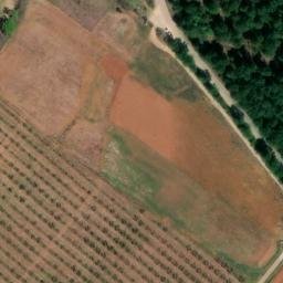 Mappa satellitare STRADA DELLA SGRILLA, Capalbio