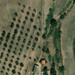 Mappa satellitare STRADA DOGANA, Viterbo
