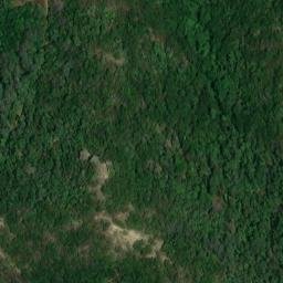 Ruines du Château de Montalba