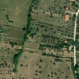 Mappa satellitare STRADA CERRETANI, Viterbo