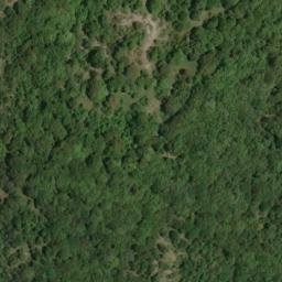 Mappa satellitare VIA ACCARINA, Cottanello