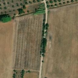 Mappa satellitare STRADA DELL'OLIVETO, Capalbio