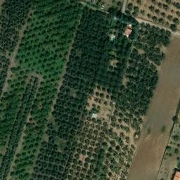Mappa satellitare STRADA QUARTUCCIO, Viterbo