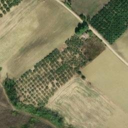 Mappa satellitare VICOLO FRANCESCO CILEA, Vasto