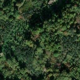 Mappa satellitare CONTRADA MISSIONE, Bellegra