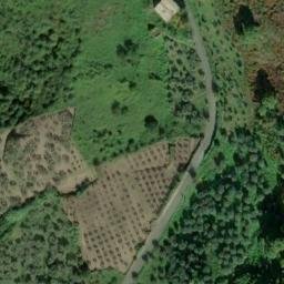 Mappa satellitare CONTRADA CERQUETTA, Bellegra