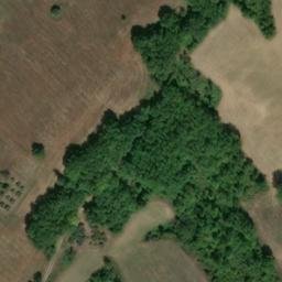 Mappa satellitare STRADA COMUNALE LA SELVA, Duronia