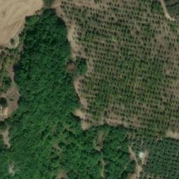 Mappa satellitare CONTRADA CANALA, Castropignano