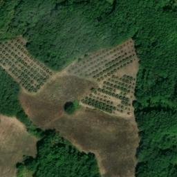 Mappa satellitare CONTRADA CESE ALTA, Circello