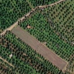 Mappa satellitare STRADA ESTERNA BRIGANTE, Corato