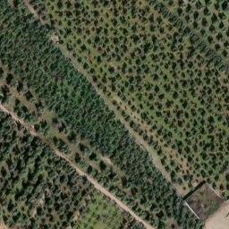 Mappa satellitare STRADA ESTERNA POSTA CANALE, Corato