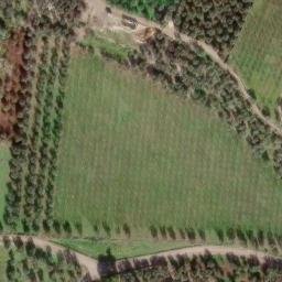 Mappa satellitare CORTE ABATE MARINO, Bitonto