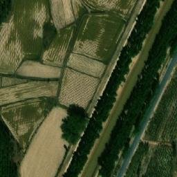 新公中镇卫星地图