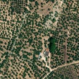 Mappa satellitare VIA PARINI, Bitonto
