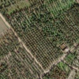 Mappa satellitare CONTRADA BAVOTTA, Bitetto