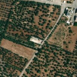 Mappa satellitare VIA TRIFONE RONCHI, Cellamare