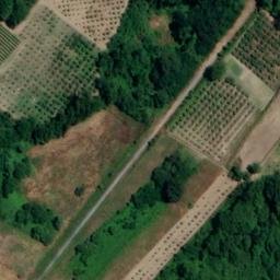 Mappa satellitare VIA VIGNEDOGNICHE, Lapio
