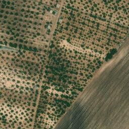 Mappa satellitare CONTRADA PARVACCARO, Toritto