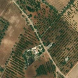 Mappa satellitare CONTRADA VIGNOLA, Conversano