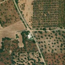 Mappa satellitare CONTRADA QUATTROLINARI, Conversano