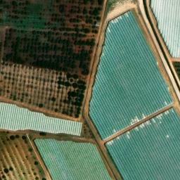 Mappa satellitare STRADA RICUTO, Turi