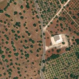 Mappa satellitare VIA CONCHIA, Monopoli