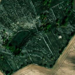 Mappa satellitare STRADA PROVINCIALE 177, Altamura